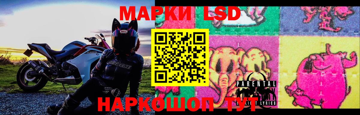 LSD-25 экстази ecstasy Кингисепп