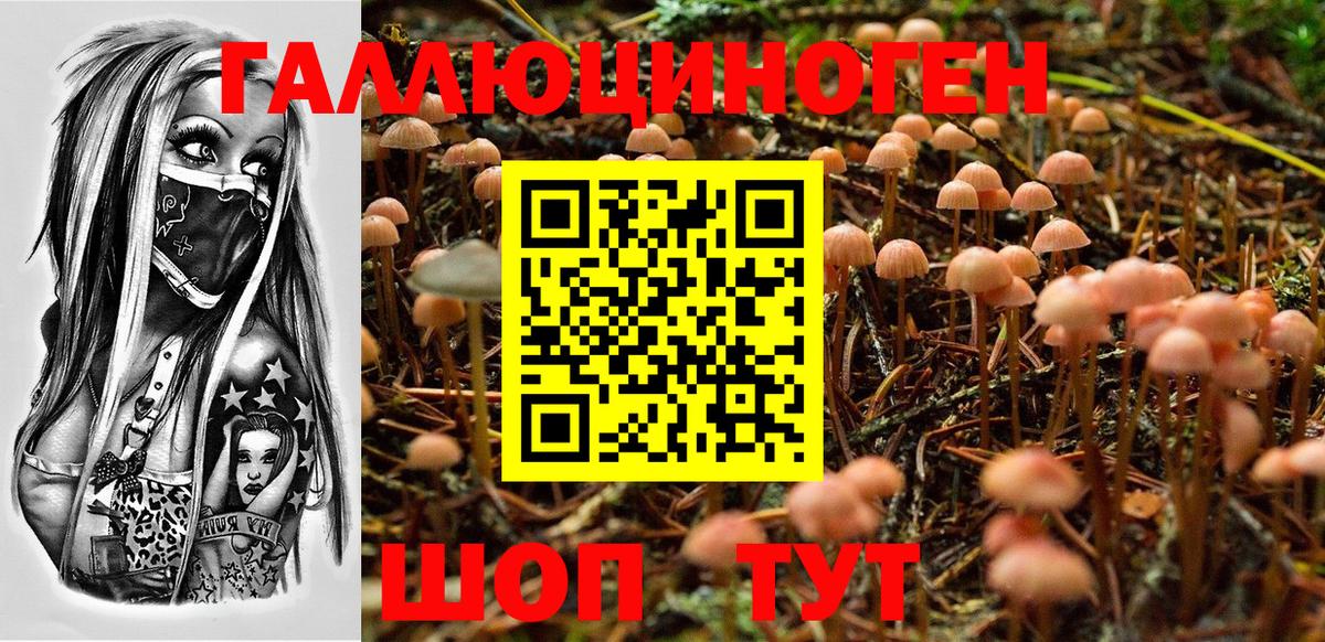 Галлюциногенные грибы мухоморы Кингисепп